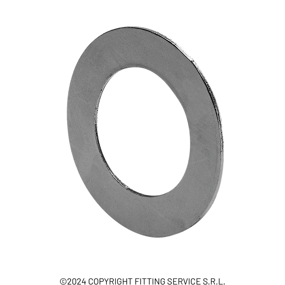 Guarnizione Grafite Inox | Fitting Service - Foto 11