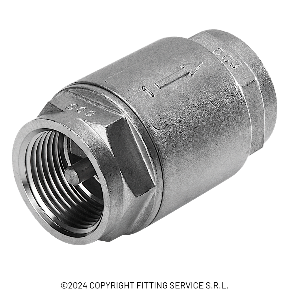 Threaded check valve | Fitting Service