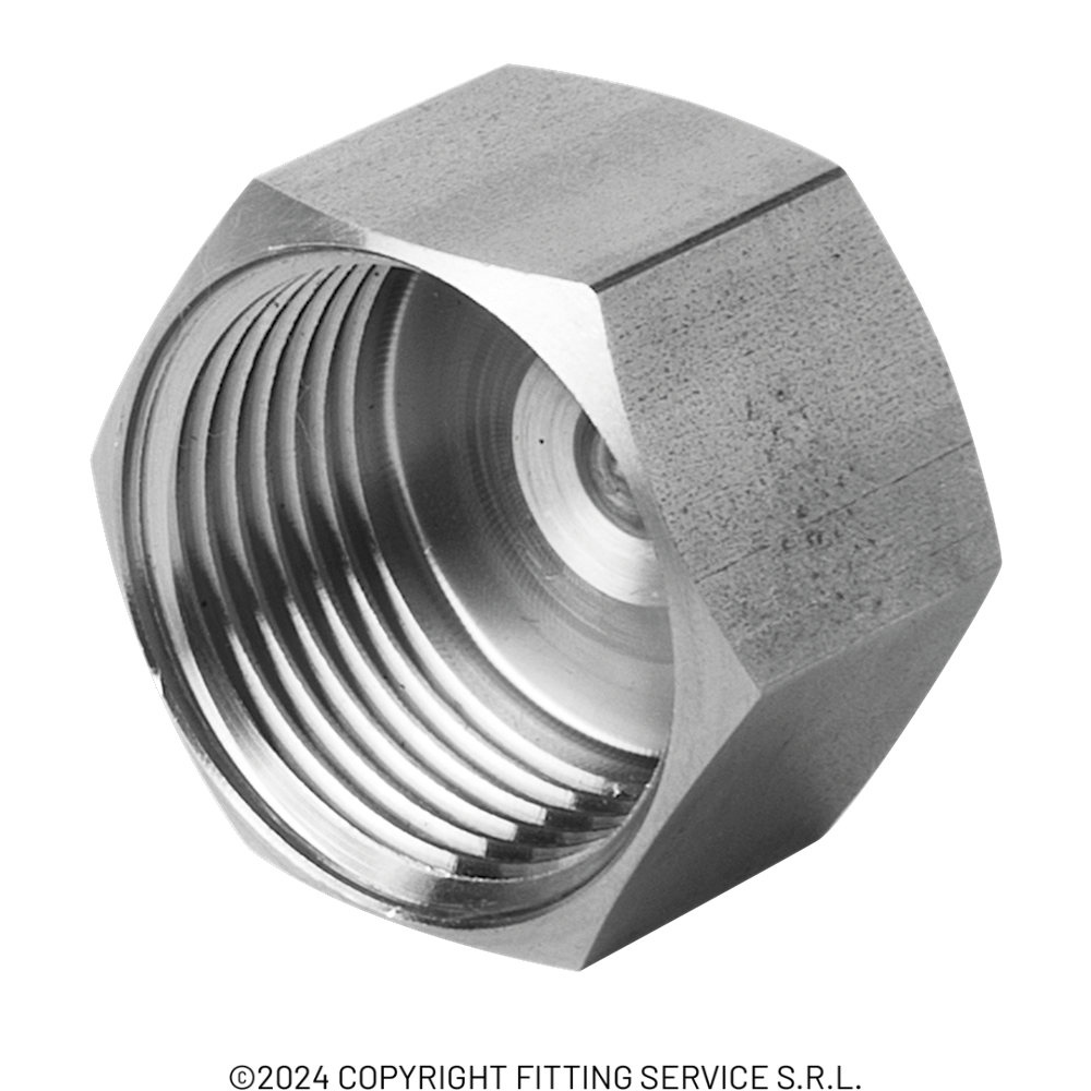Threaded cap (forged) | Fitting Service