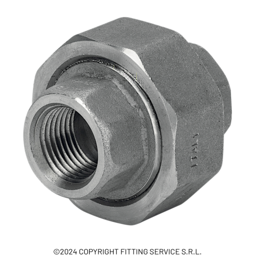 Bocchettone F/F serie 3000 NPT Bocchettone F/F serie 3000 NPT